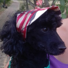 Ольга Сергеевна, 19.06, Санкт-Петербург