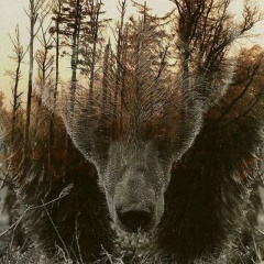 Александр Грешняков, 16.07, Новосибирск