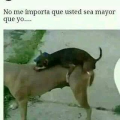Peneloco Elsalvador