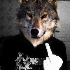 Артем Волков, 04.07.1996, Владивосток