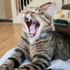 Даниил Лундин, 20.12.1969, Санкт-Петербург