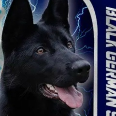 Марат Фахртдинов, Актобе