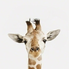 Алихан Кудаков, 06.07.1989