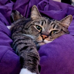 Karina Nikolaevna, 24.11.1991, Санкт-Петербург