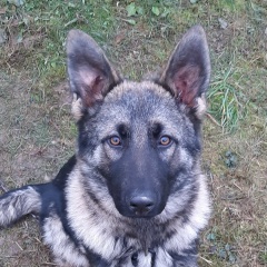 Олег Николаевич, 07.10.1988