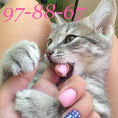 Анна Ноготкова, 31.07, Оренбург