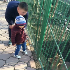 Enlik Amangeldieva, 26.05.1994, Алматы