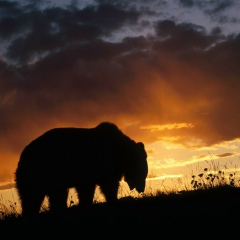 Нуржан Искаков, 31.08.1993, Алматы