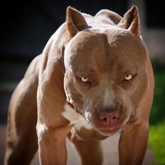 Кирилл Макаревич, 30.07.2003