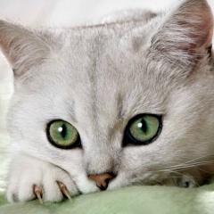 Алиночка Пуськина, 22.08, Санкт-Петербург