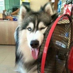 Виталий Лукин, 12.08.1985, Москва