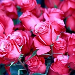 Элина Григорчик, 21.06, Челябинск