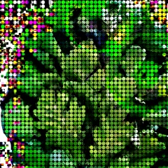 Кубанские Веники, Краснодар