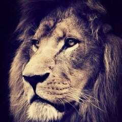 Дархан Есқожа, 11.02