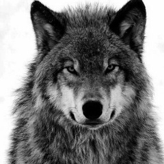 Almas Amankeldi, Жанакорган