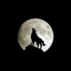 Адам Адамоввв, Пятигорск