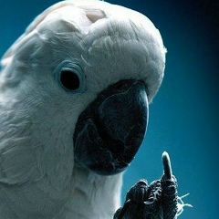 Иванна Иванова, 04.06.1981