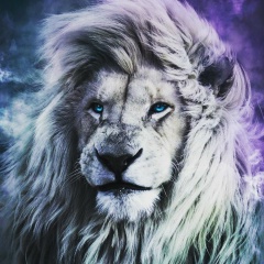 Дидар Арипбаев, 27.07, Усолье-Сибирское