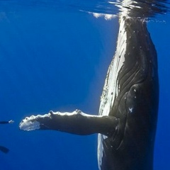 Ирина Мищенко, 21.12.1988, Харьков