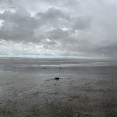 Антон Потапов, 20.09.1980, Санкт-Петербург