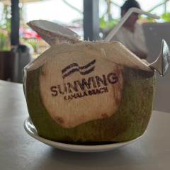 Steve Berman, Ташкент