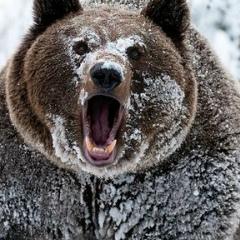 Медет Кантарбай, 11.01, Алматы