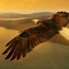 Айдар Игiбай, 24.11.1996, Актау