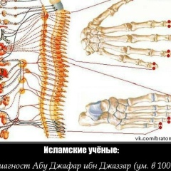 Абдула Магомедов, 17.10.1996, Махачкала