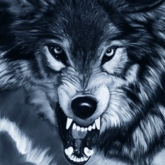 Дмитрий Грязнов, 02.12