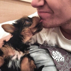 Макс Грызлов, 26.01.1989, Ростов-на-Дону