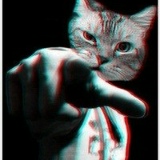 Николай Растягаев, 01.09.1991, Камышин