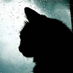 Лилия Львова, 10.07, Санкт-Петербург