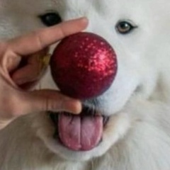 Ирина Терехова, 26.05, Новосибирск