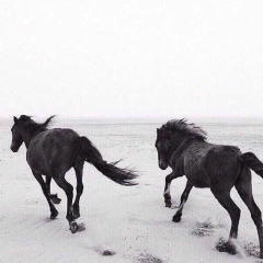 Ислам Меджидов, Краснодар