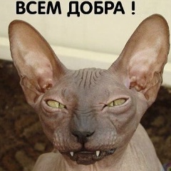 Геннадий Геннадий, 10.03