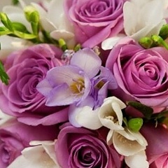 Салта Орымбаева, 25.02