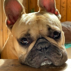 Анжела Нефедьева, 21.11.1979, Санкт-Петербург