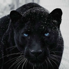 Саша Миролюбов, 14.09, Краснодар