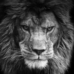 Дмитрий Игнатов, 07.08.1982, Москва