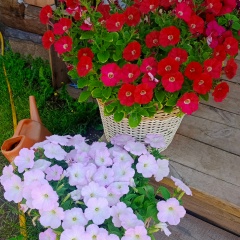 Татьяна Замахова, Вологда