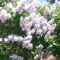 Катя Ковалевец, 18.06.1987, Киев