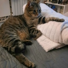 Татьяна Каширская, Санкт-Петербург