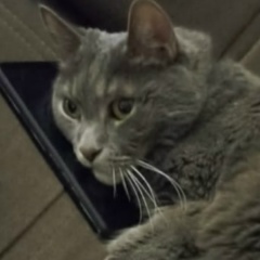 Станислав Пузанков, 13.09, Санкт-Петербург