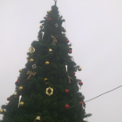 Abduvaxob Dadajonov, 19.02.1991