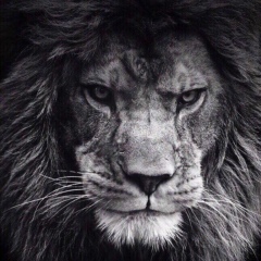 Рашид Расулов, 02.05, Карамурт