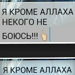 Бабур Рахымжанулы, 20.11