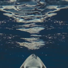 Дмитрий Дмитриев, 10.11, Иркутск