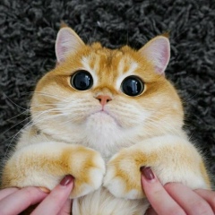 Александр Никитин, 11.12.1988, Заречный