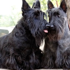 Ольга Новикова, 24.05, Москва