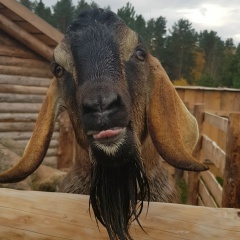 Маруся Васильева, Санкт-Петербург